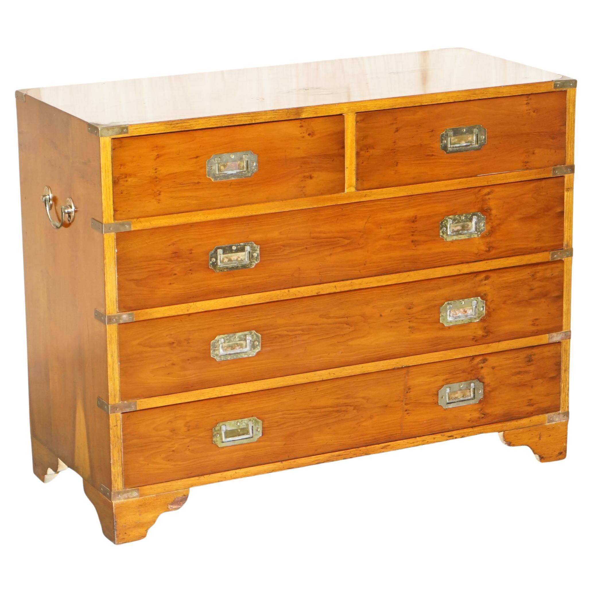 Vintage military campaign chest of drawers in burr yew wood.