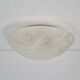 Vintage Ceiling Lamp in Frosted Glass from Peill & Putzler, 1960s