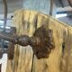 Industrial lamps