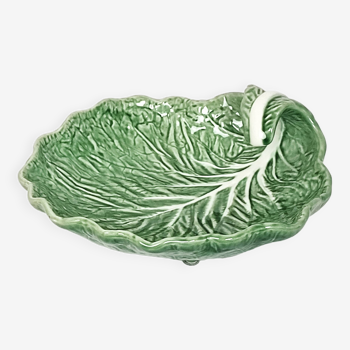 Cabbage leaf dish