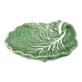 Cabbage leaf dish
