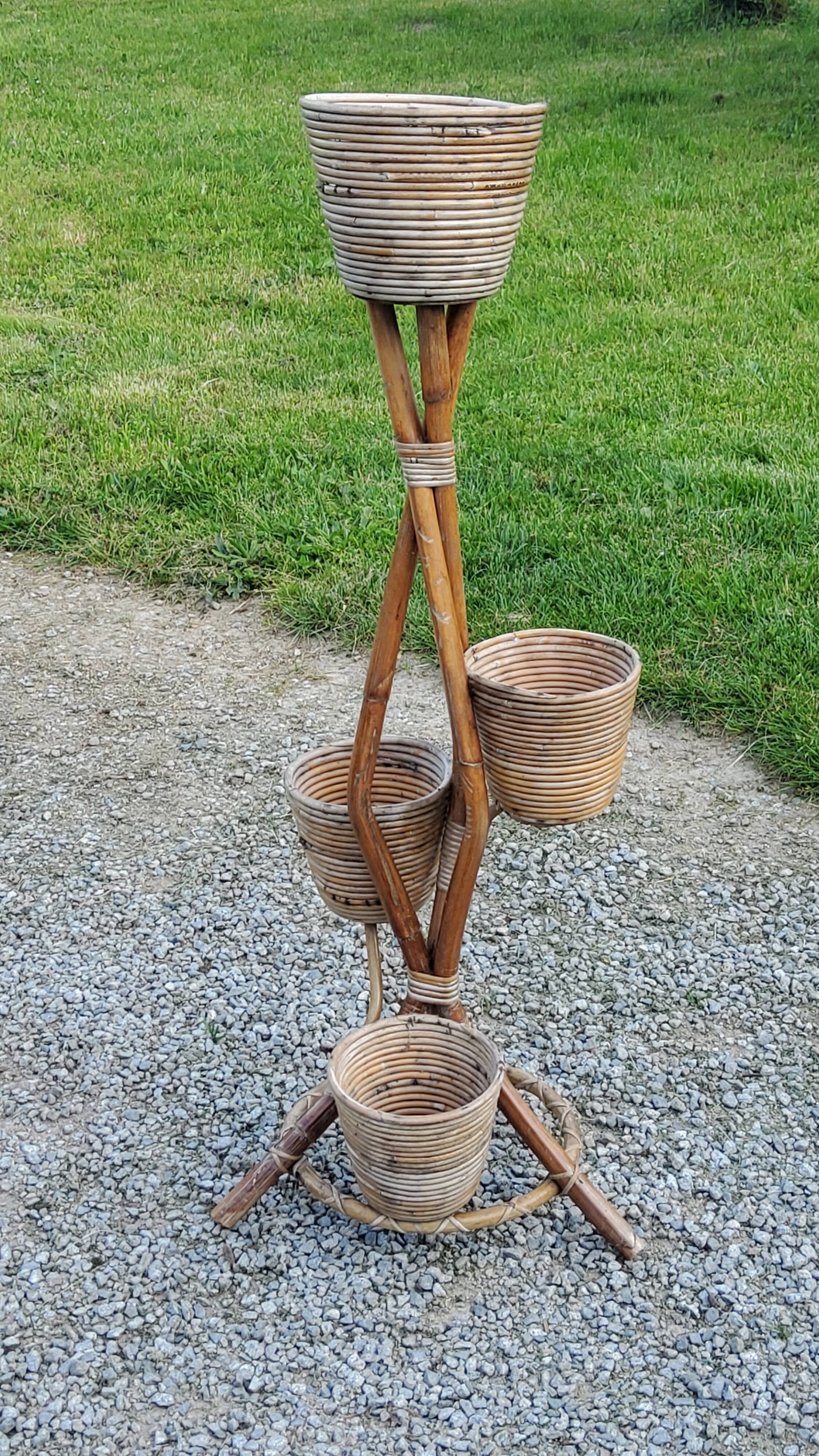 Rattan and bamboo plant holder from the 50s