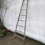 Painter's ladder, towel rack