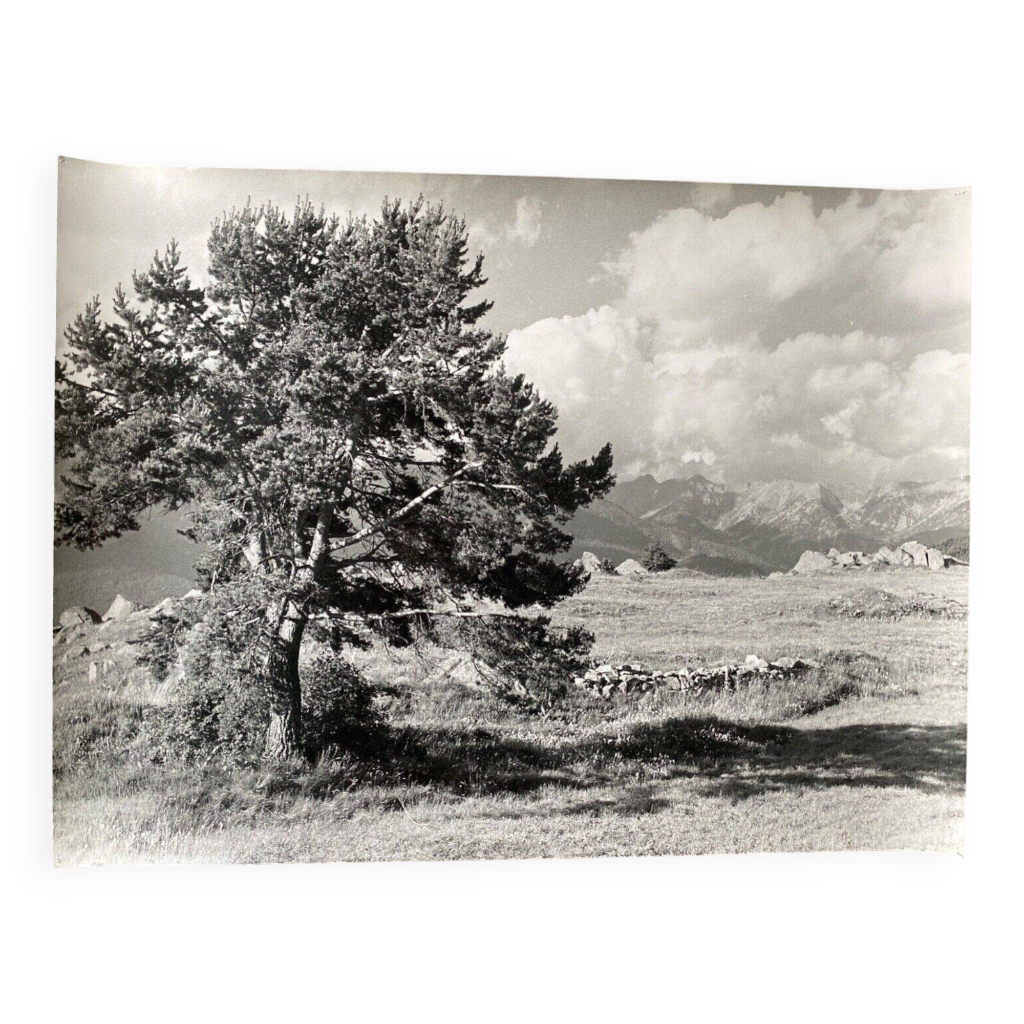 Silver photo Bernard Darot 20th Muret