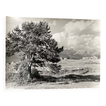 Photo argentique Bernard Darot XXe, "Muret"