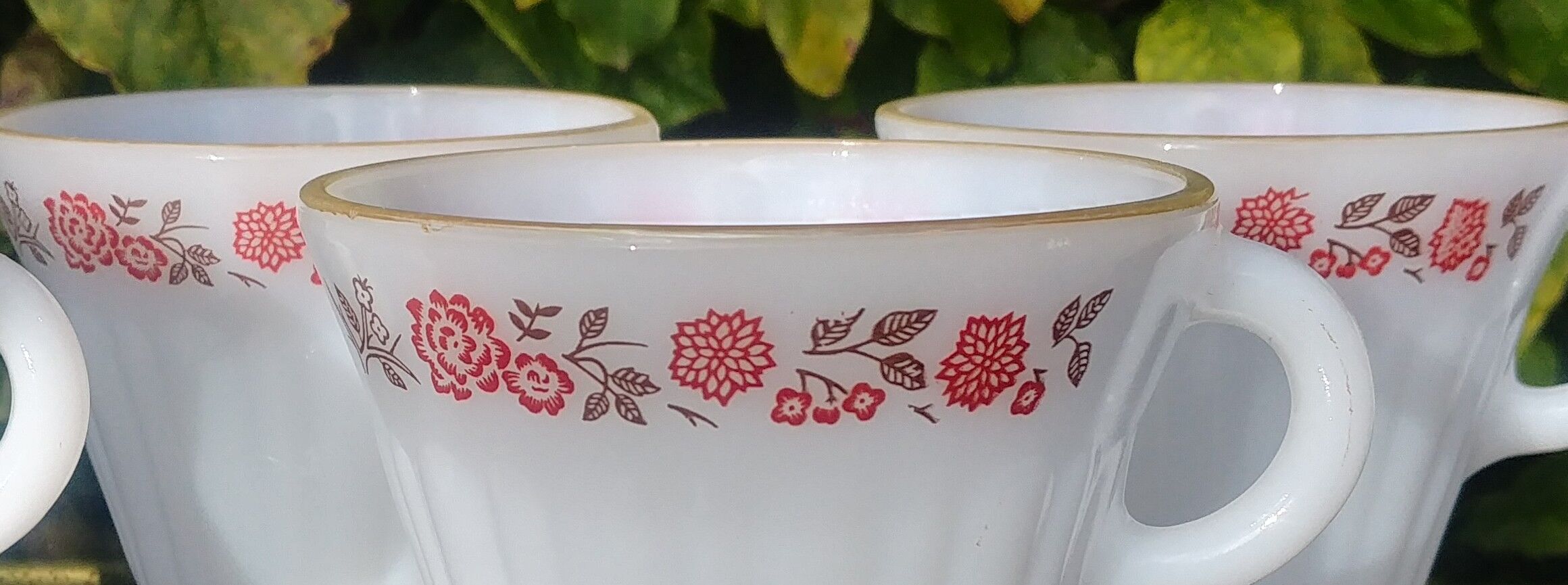 Set of 6 cups vintage Termocrisa Mexico in opaline, 60s