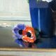 BURON Henri, Pastel still life bouquet of anemones signed around 1950