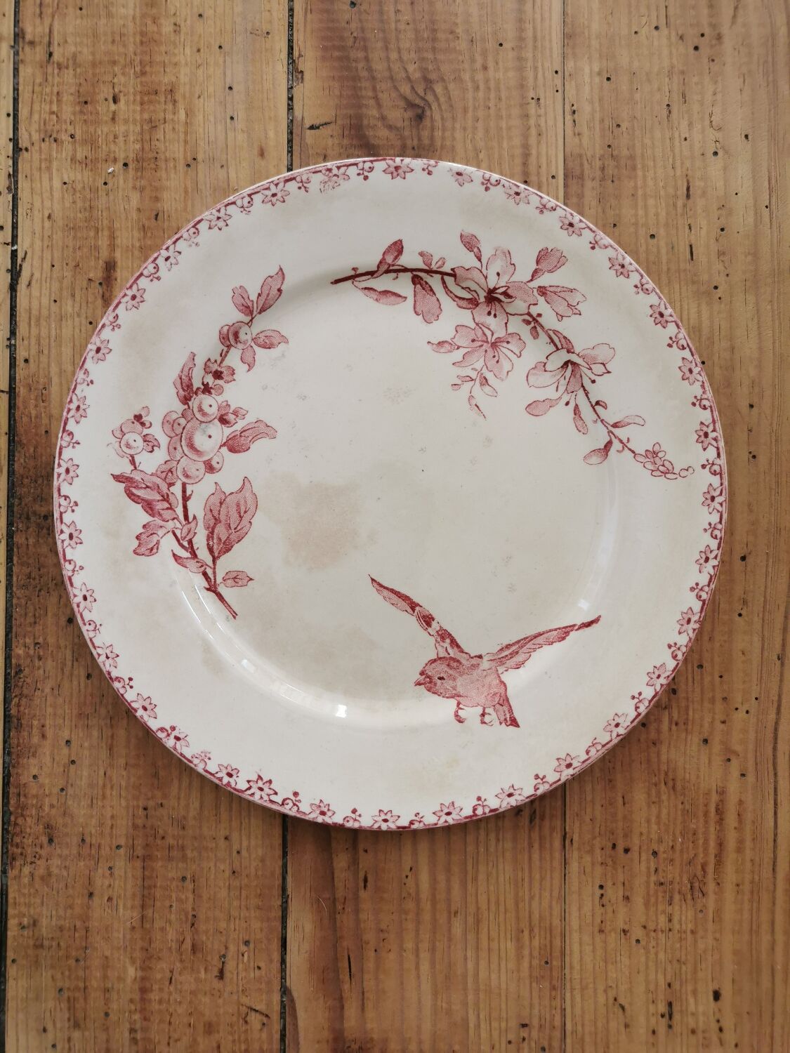 Assiettes anciennes Sarreguemines "Favori"