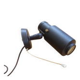 Zodiac wall light by Jacques Biny for Lita