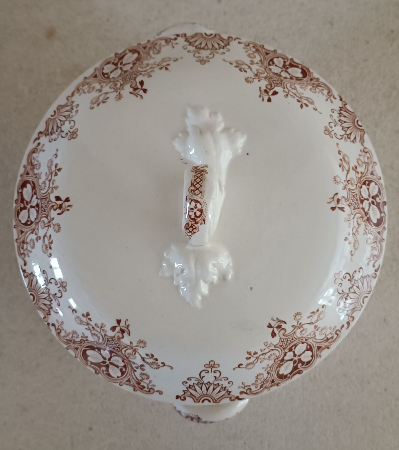 6 plates and vegetable iron earth Lunéville