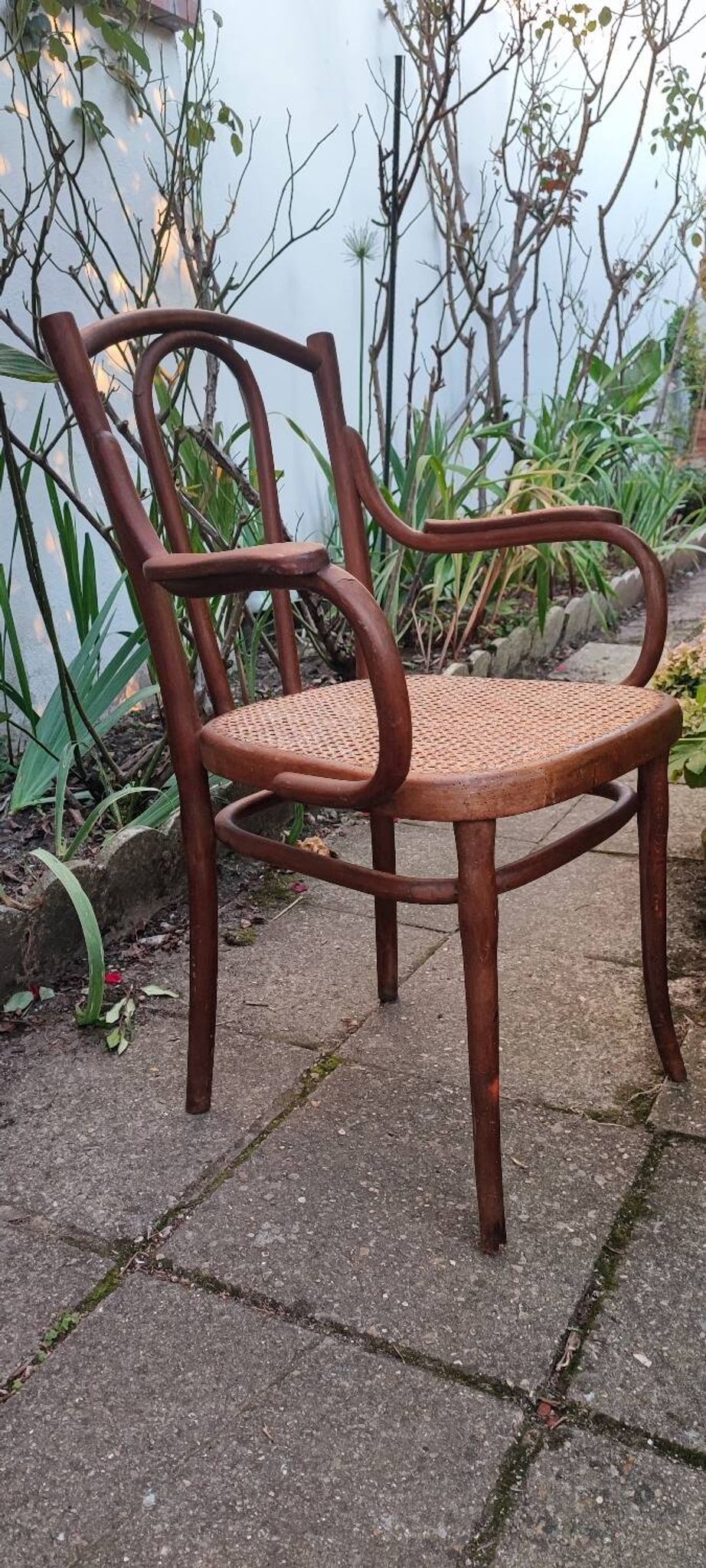 Thonet armchair no. 56