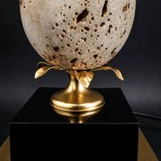 Ostrich egg lamp in travertine