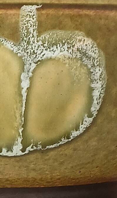 2 glazed ceramic salad bowls, stylized apples, 1970