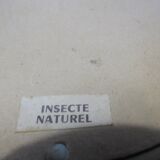 Butterfly morpho menelaus  taxidermy (Brazil)