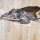 Bayel crystal bowl
