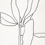 Botanical illustration black lines 50x70cm