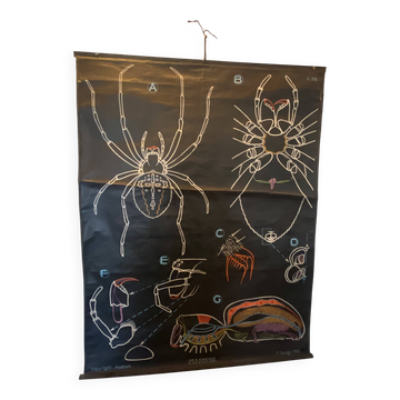 POSTER DR AUZOUX, PAUL SOUGY 1958, No. 56 L EPIÈRE