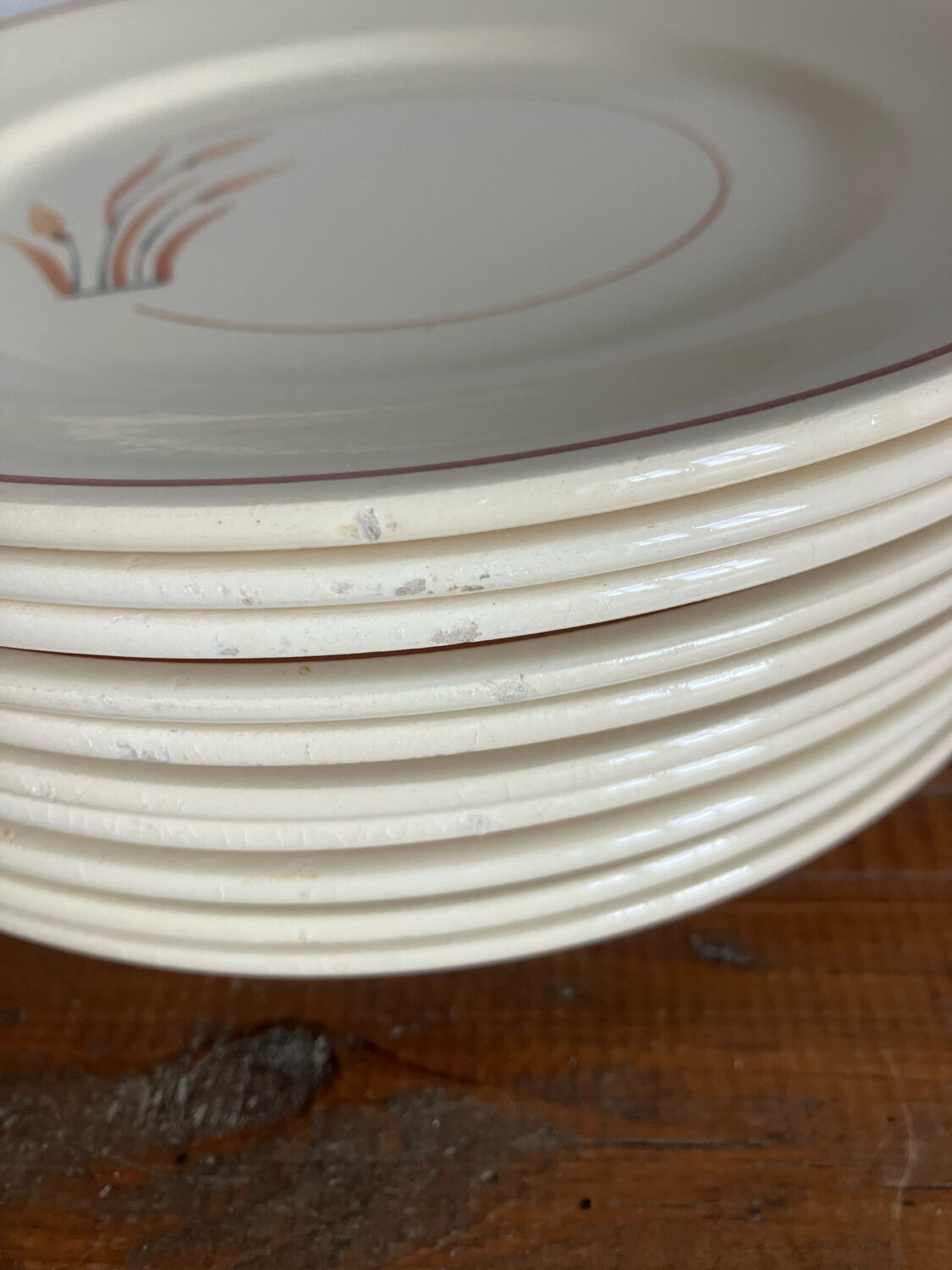 10 assiettes à dessert 