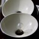 Art Deco Vintage brown and white enamelled suspension duo