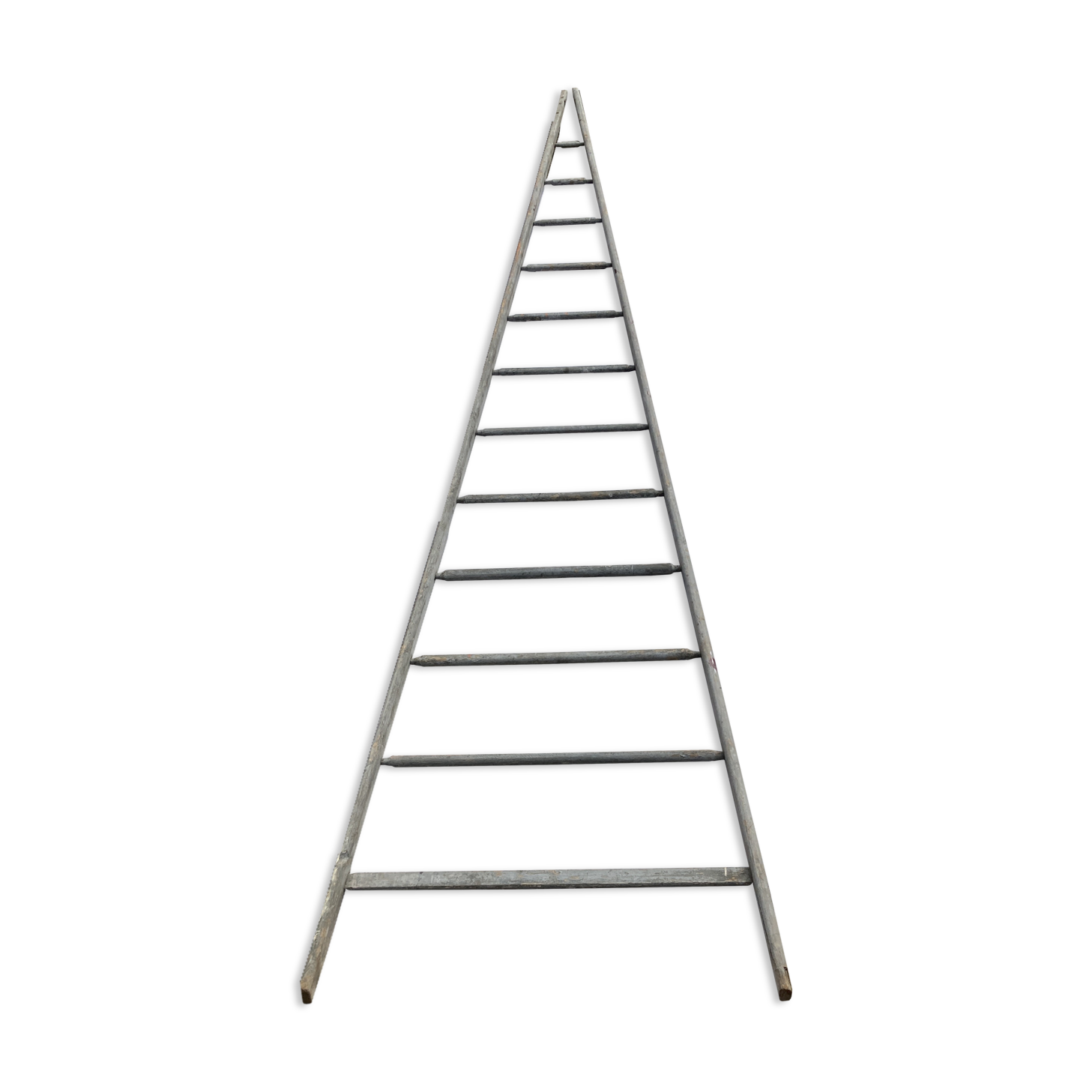 Old fruit ladder harvesting wood