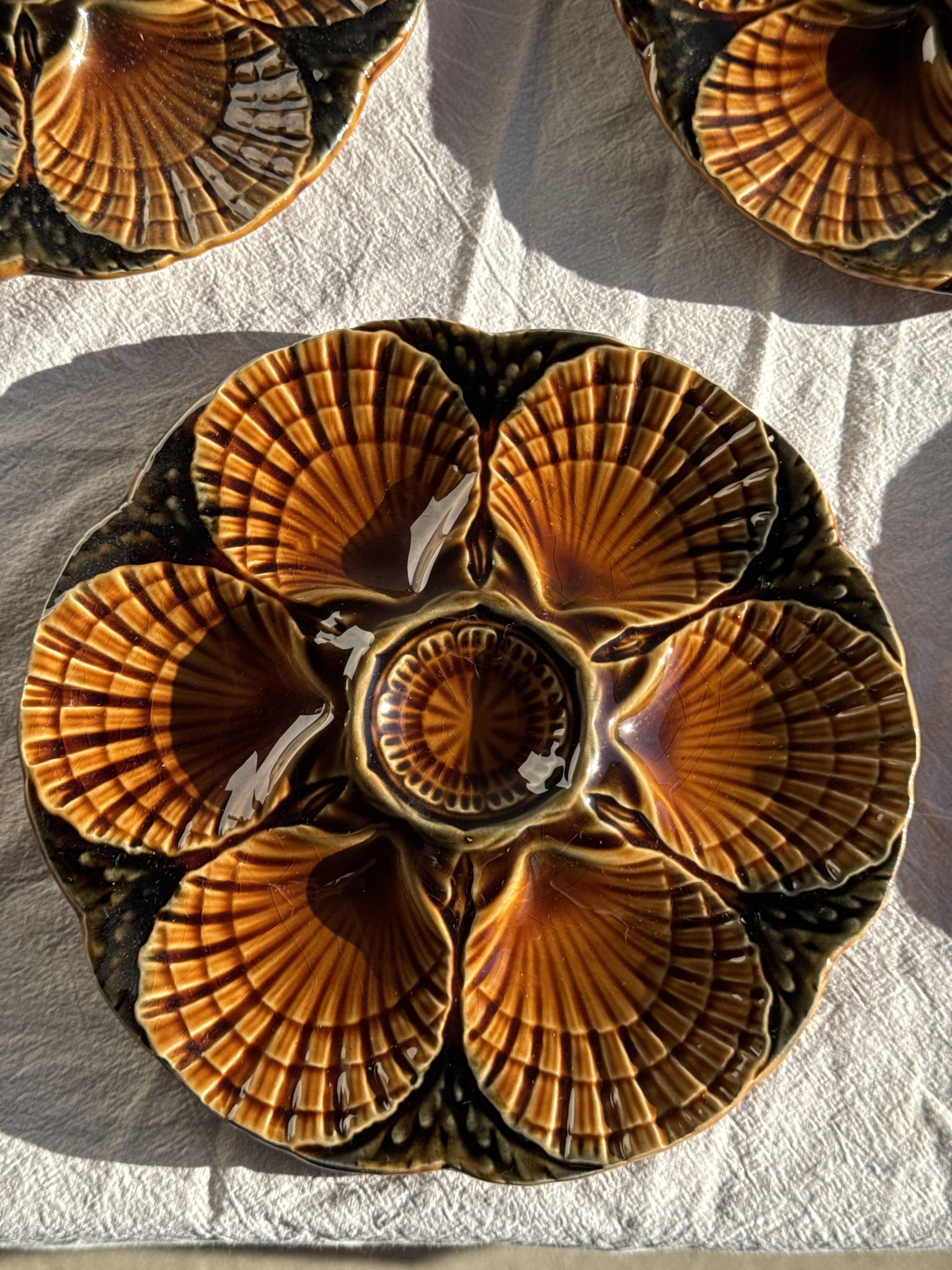 Set of 12 oyster or shell plates in glazed brown ceramic D