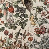 Lithograph engraving flowers of 1897