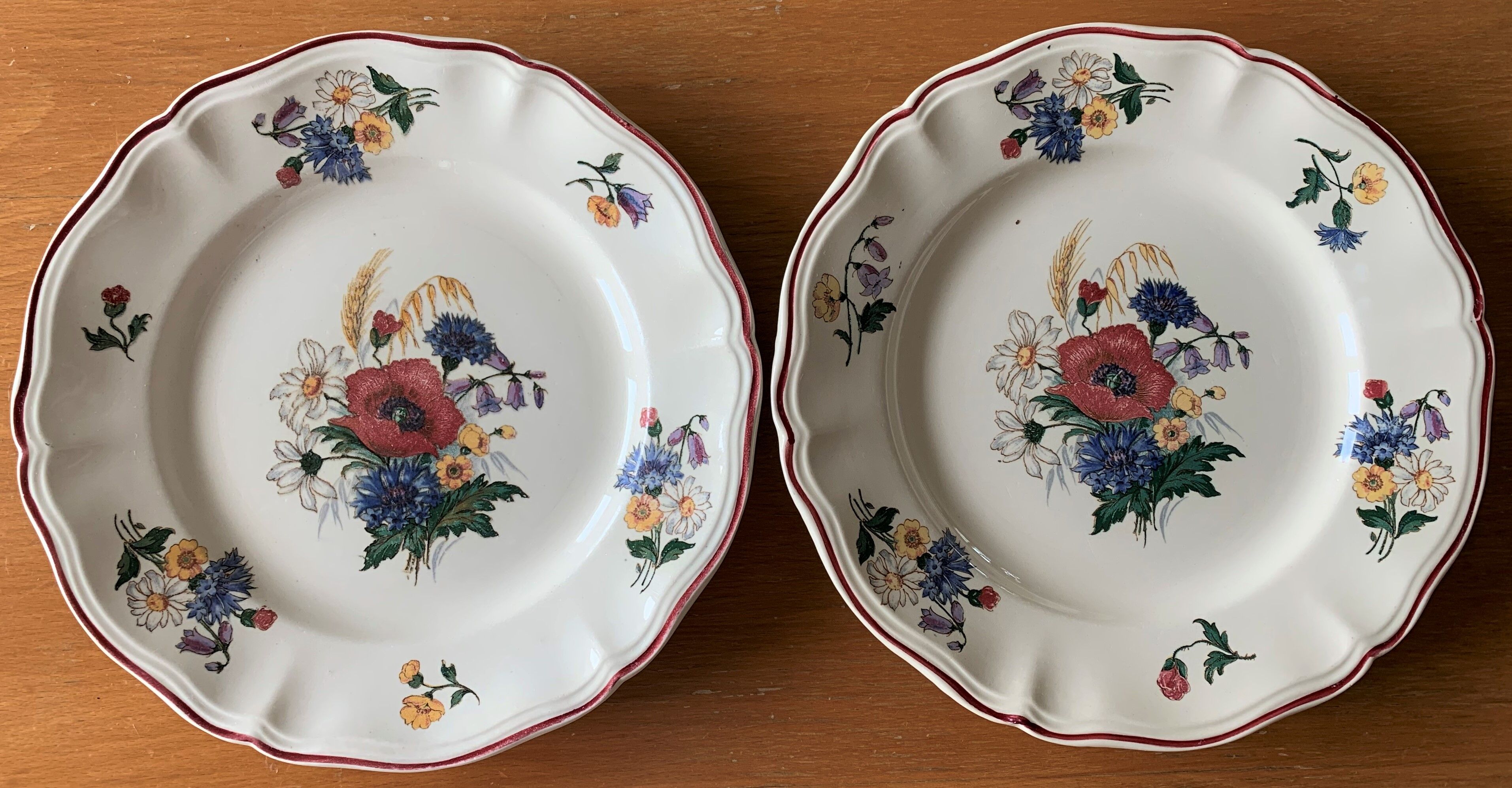 8 old plates in earthenware from Sarreguemines