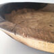 Brutalist solid wood dish 57cm