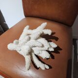 Gros corail blanc