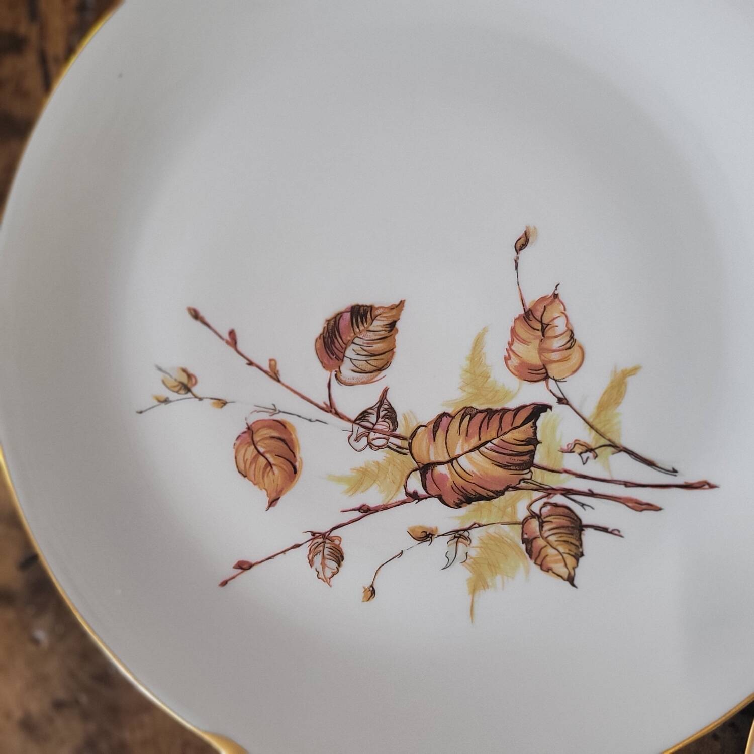 Assiettes à dessert & Plat Porcelaine Royal Émail de Vierzon