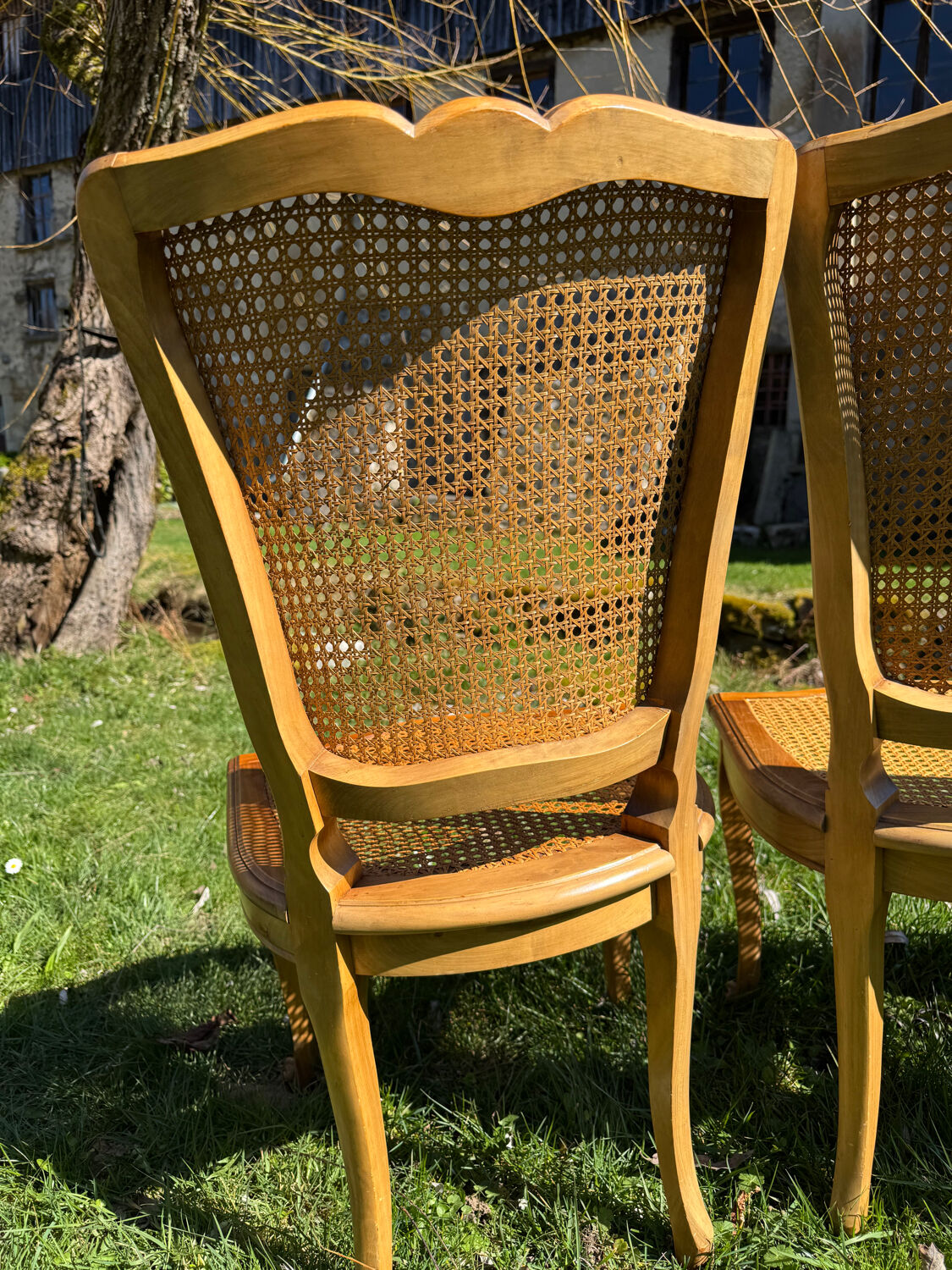 4 caned chairs in cherry wood – Louis XV style