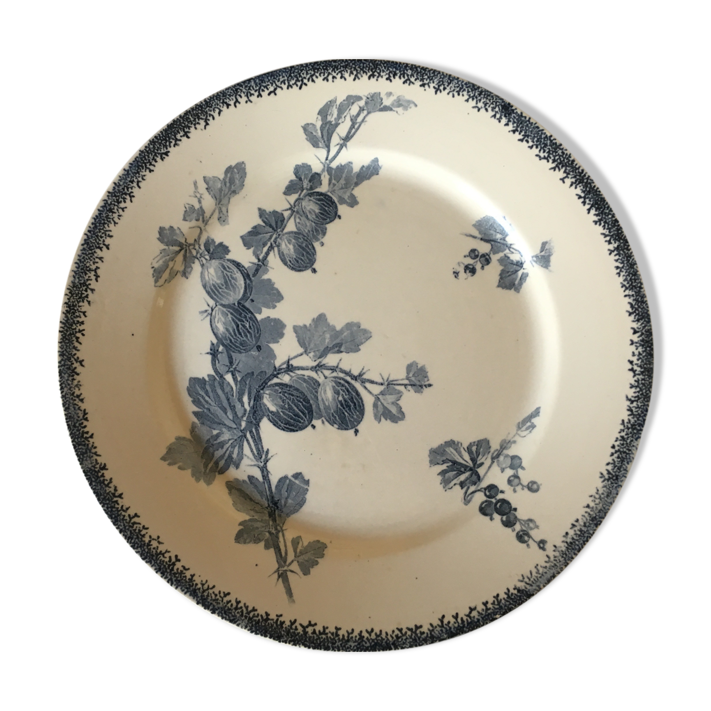 Plate of earthenware iron earth U-C Sarreguemines pattern Groseilles