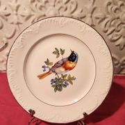 6 assiettes dessert Digoin Sarreguemines décor oiseau en couleur