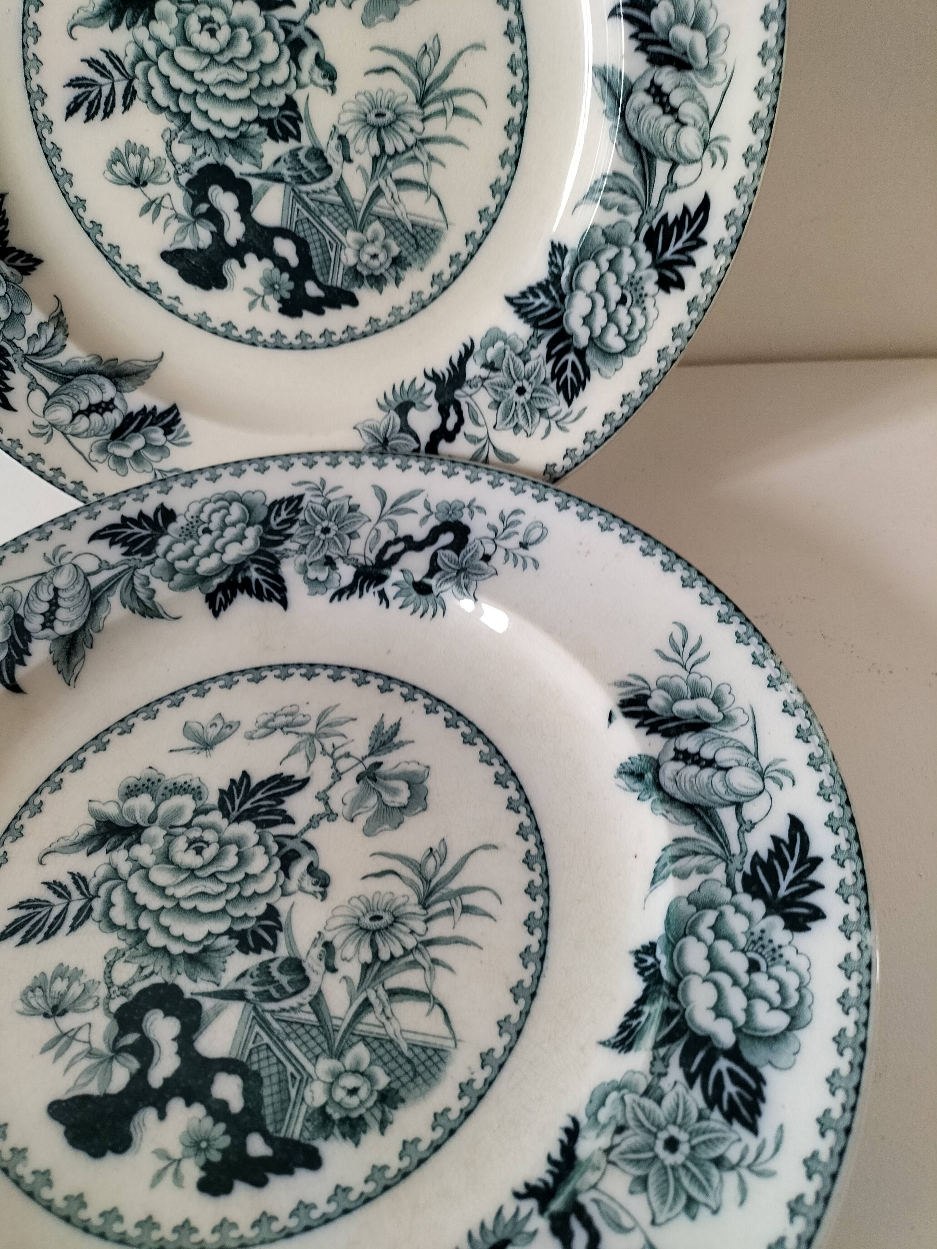 Vintage Wedgwood Bullfinch Plates