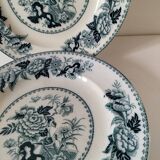 Vintage Wedgwood Bullfinch Plates