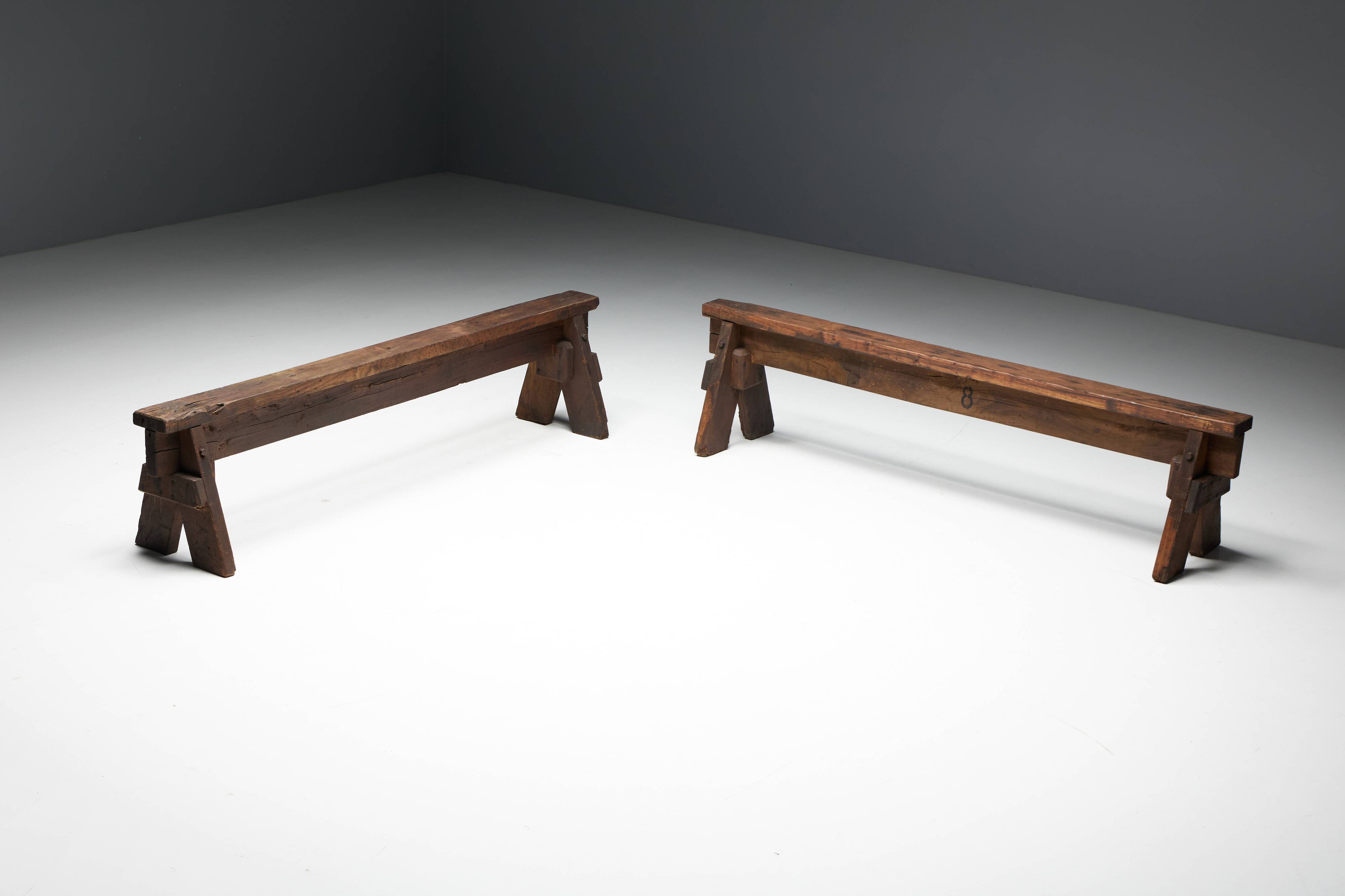 Brutalist Folk Art Benches, France, 19th Century