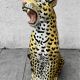 Large ceramic leopard sculpture, Italy, 1960s