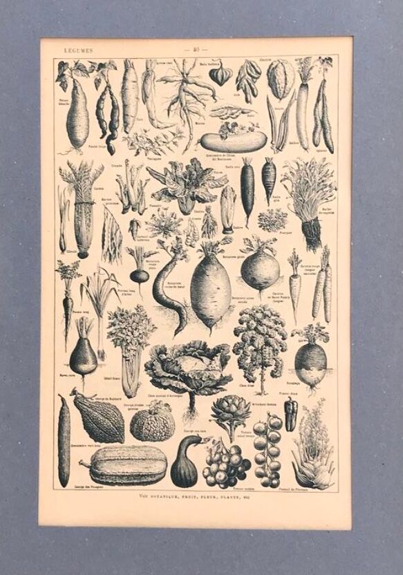 Original vintage board on vegetables