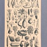 Original vintage board on vegetables