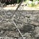 Garden table