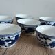 Gaiwan traditional chinese tea set in blue and white porcelain