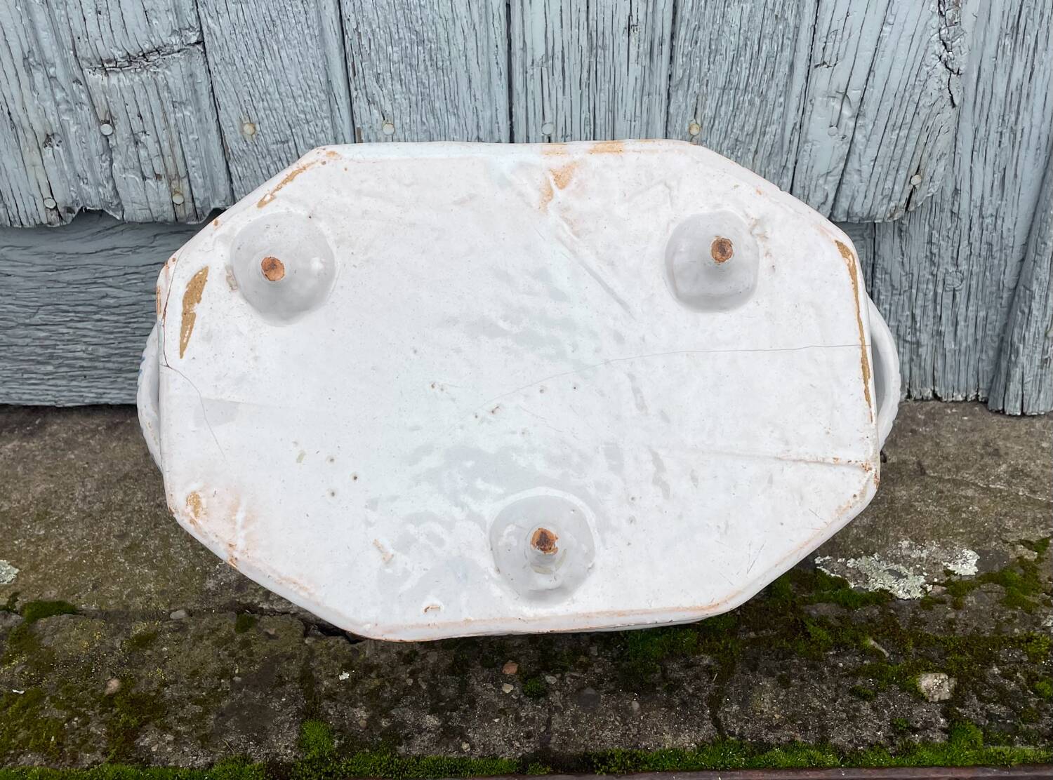 Rouen earthenware planter/cooler with flowers and foliage, 18th century