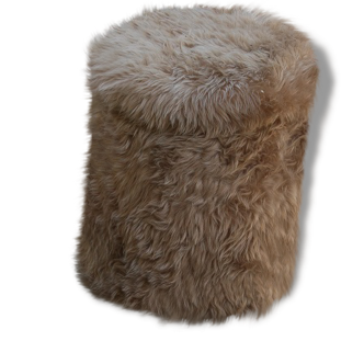 Ottoman trunk light brown rug