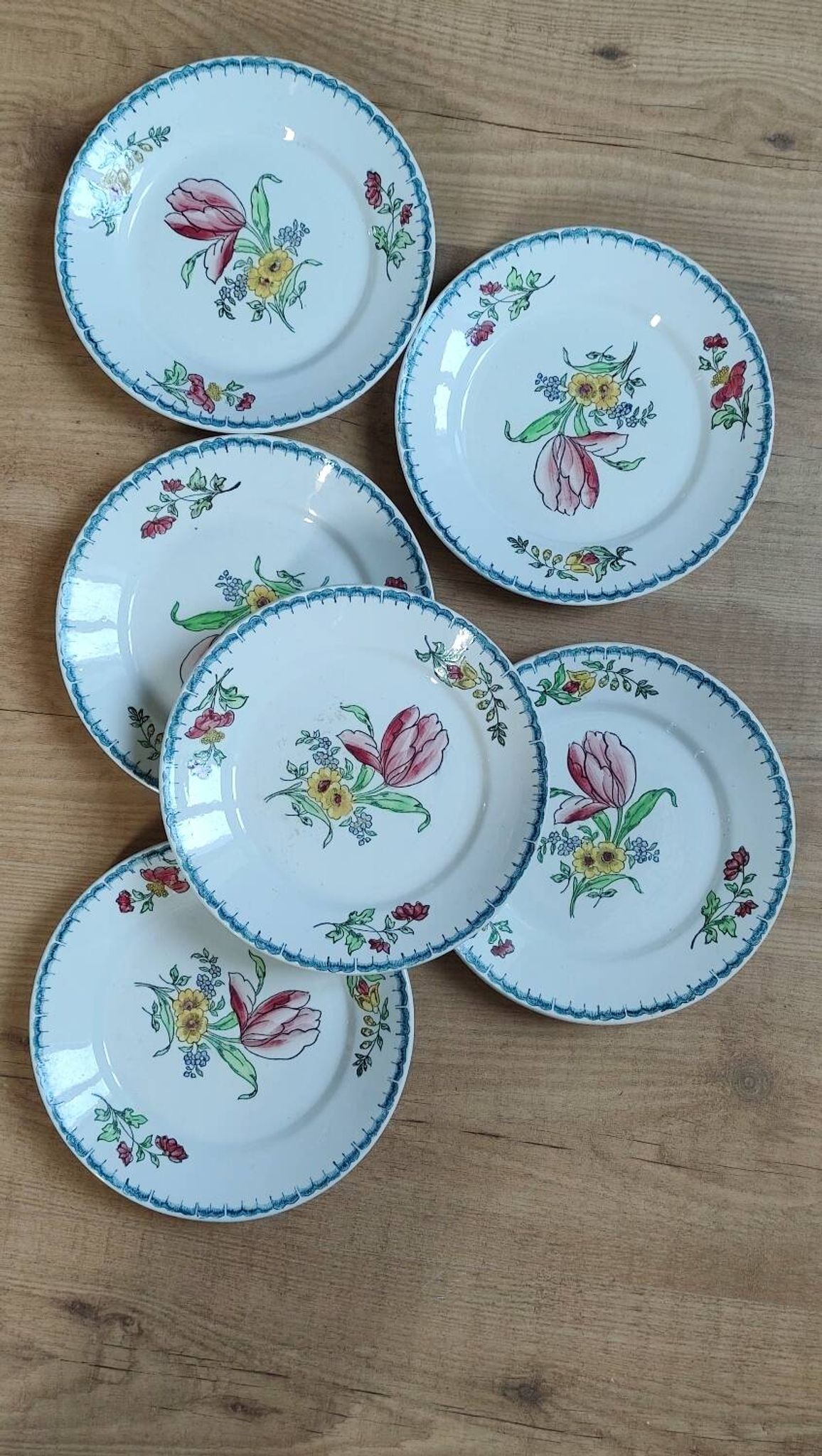 Lot de 6 assiettes à dessert Terre de fer polychromes
