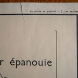 Vintage school botanical poster "La Plante"
