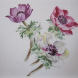 Duo of porcelain anemone dishes
