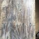 Wooden bench