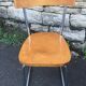 Luterma sled chairs