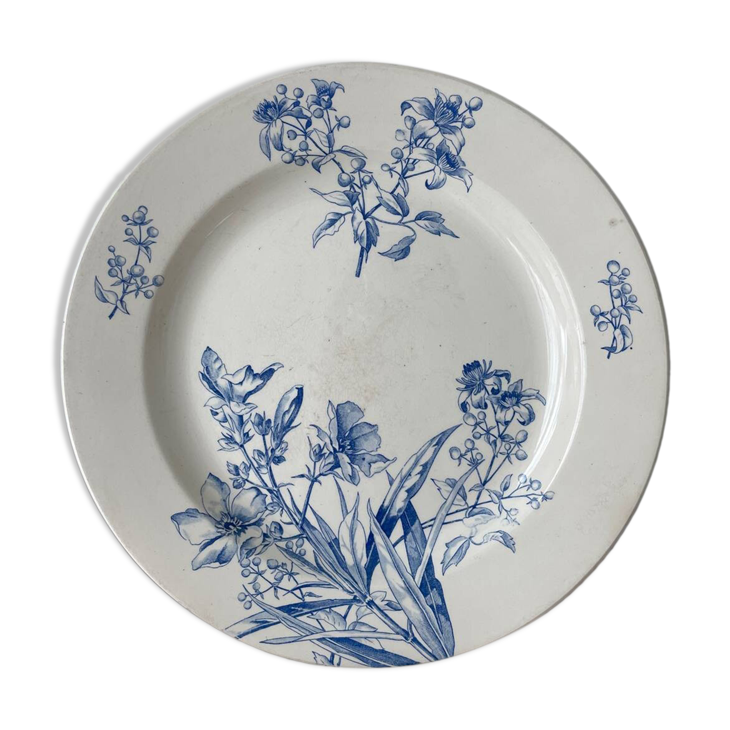 Assiette Boch Frères Keramis Pétunia