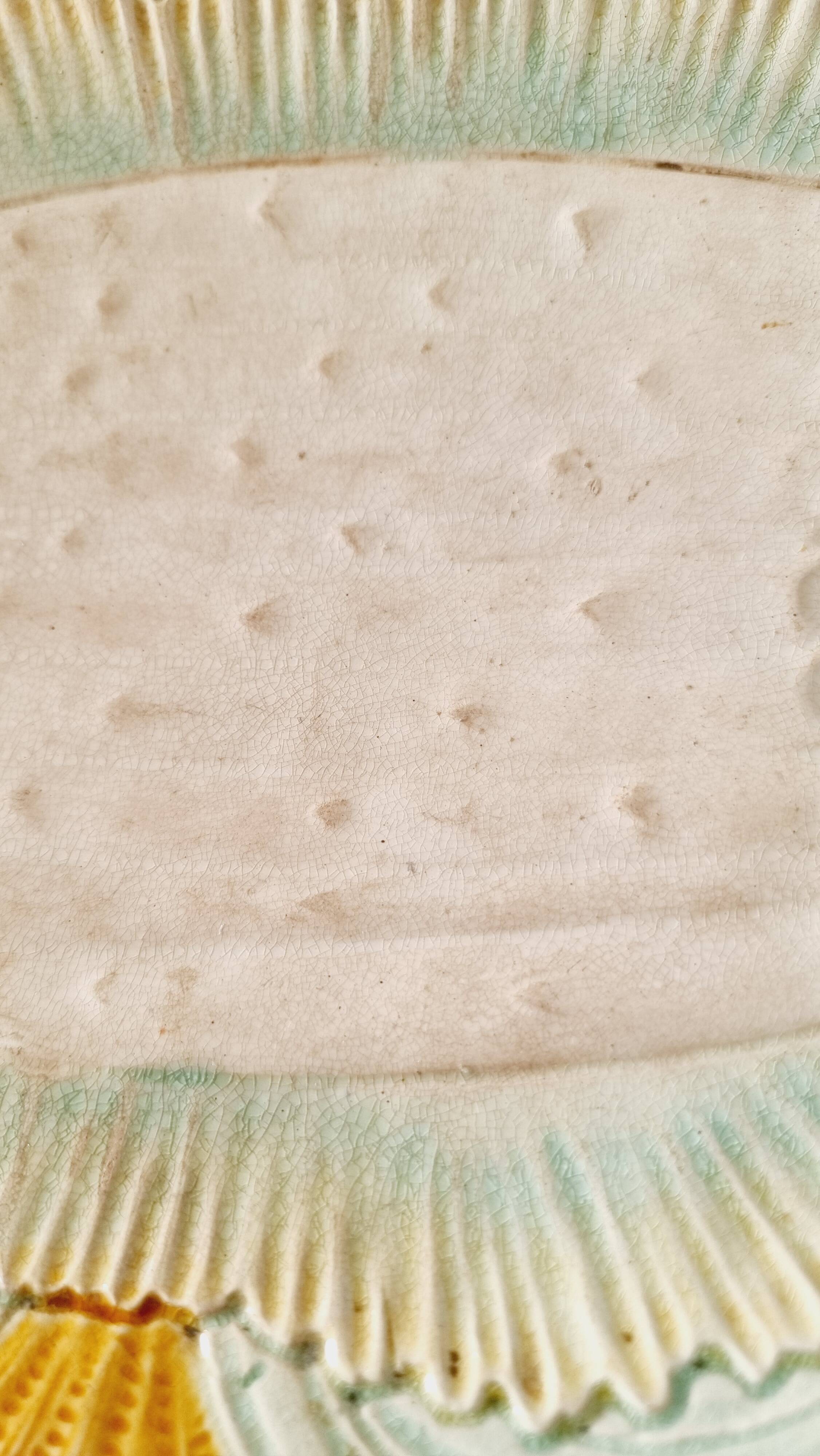 Rare and exquisite oval asparagus dish in Barbotine earthenware (majolica).